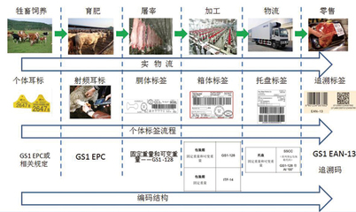 安全追溯 牲畜饲养的数字守护——中国自动识别网赋能畜牧业的智慧化之路